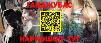 крисы Нальчик